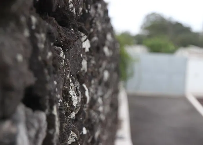 Familia * 蓬塔德尔加达